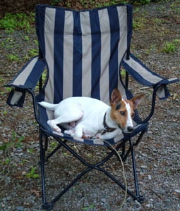 Rusty in his chair